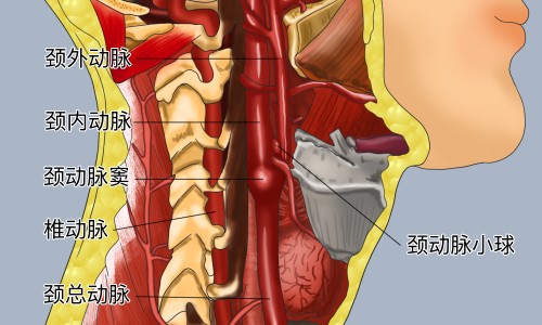 病人手术台上死了网 - 为你提供病人死在手术室、病人死在手术台上是否算医疗事故