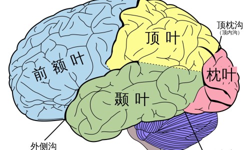 病人死在手术台上是否算医疗事故-病人手术台上死了网 - 为你提供病人死在手术室、病人死在手术台上是否算医疗事故